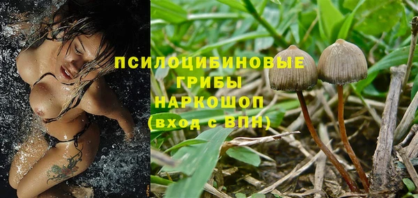 молекула духа Беломорск