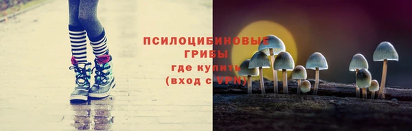 ECSTASY Белокуриха
