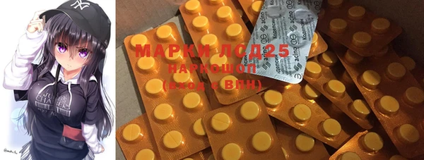 ECSTASY Белокуриха